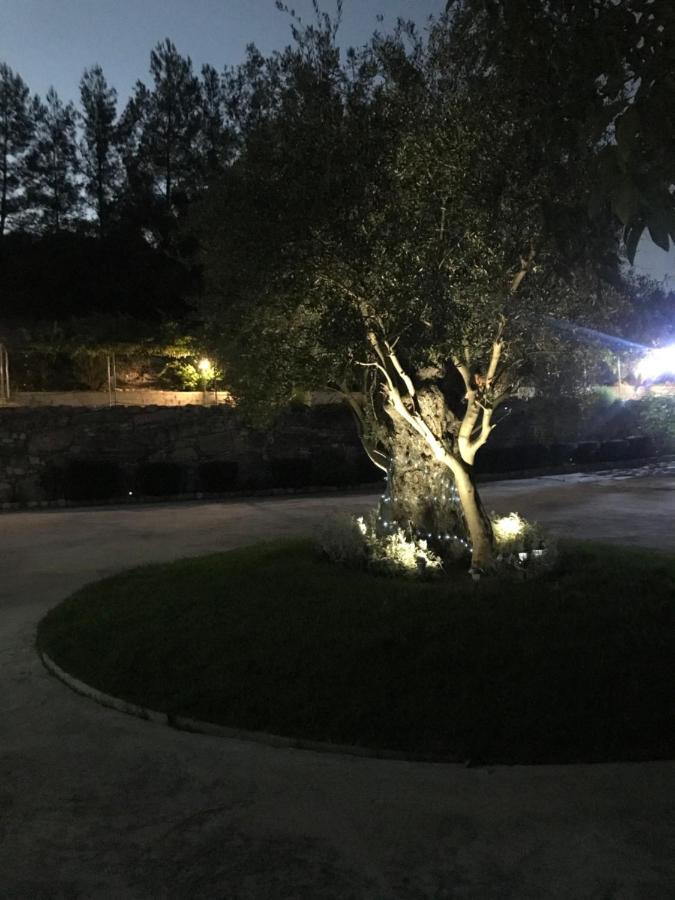 Agia Mavri House Villa Koilani Kültér fotó